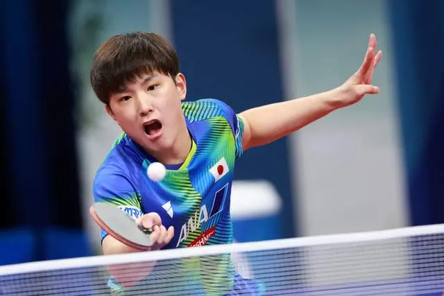 组合王艺迪, 参赛